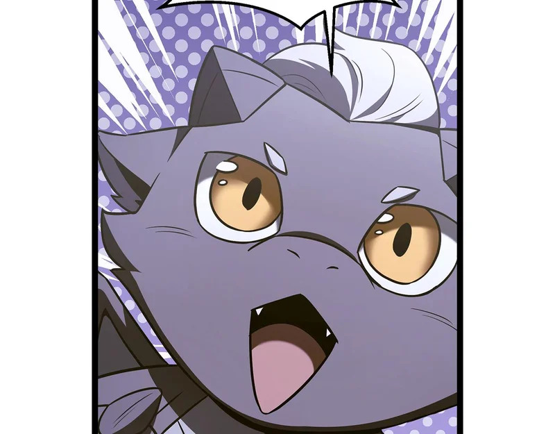 第67话 稀有的幻兽 第155页