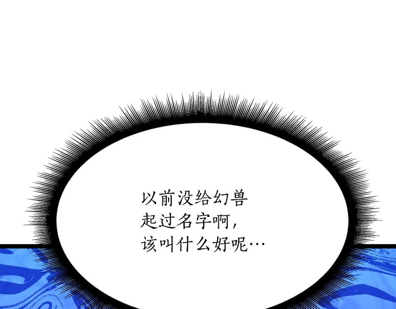第67话 稀有的幻兽 第163页