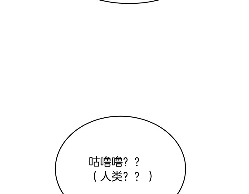 第68话 不速之客 第146页
