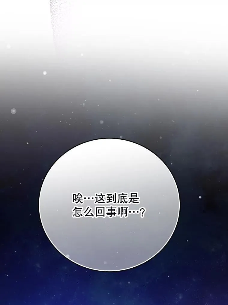 8.找到艾莱丽斯 第167页
