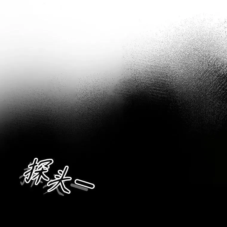 21.被尾随 第12页