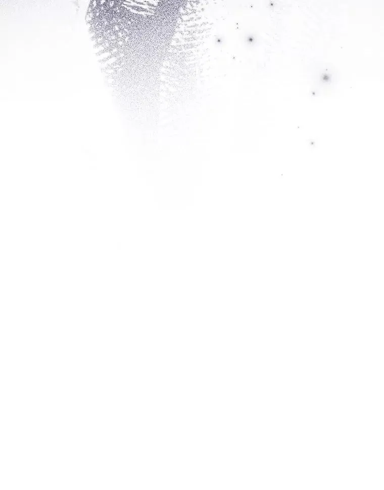 21.被尾随 第37页
