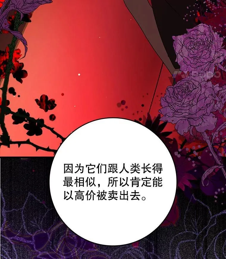 34.魔族俘虏交易 第91页