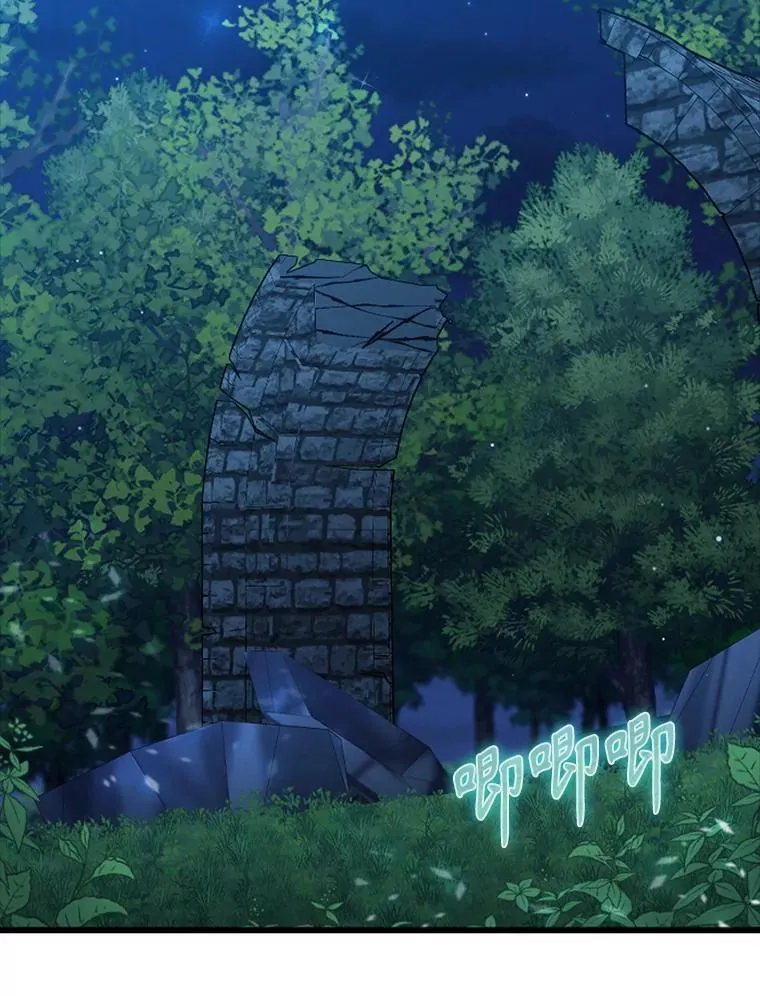 37.大战骑士团 第134页