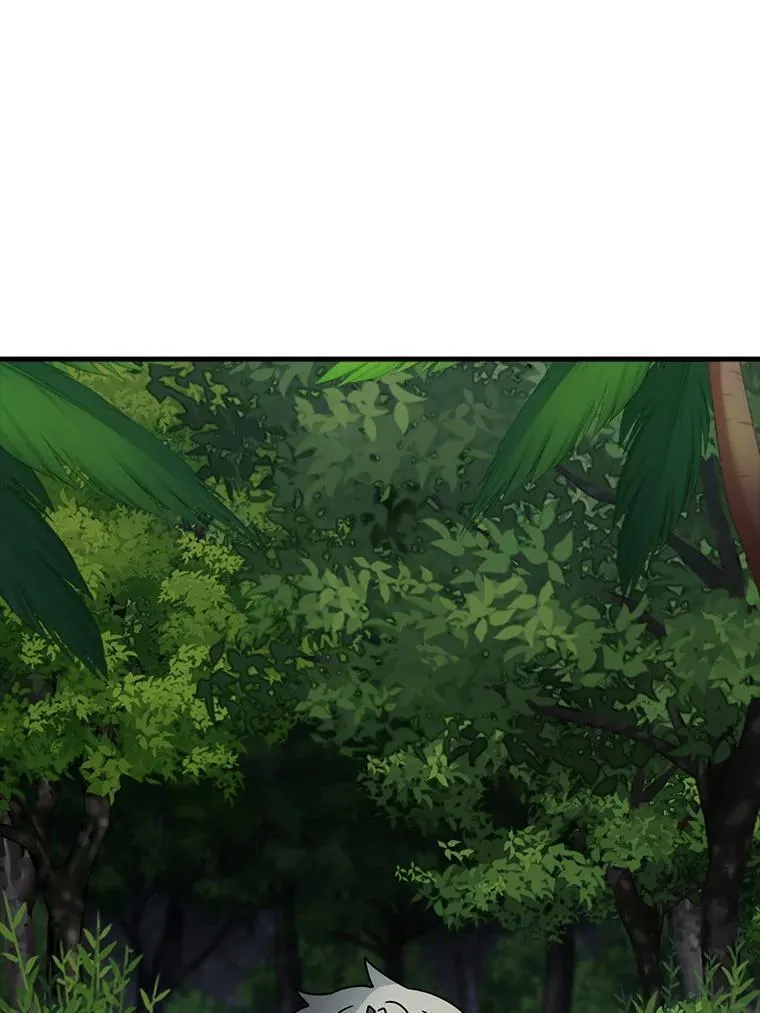54.找到溪谷 第12页
