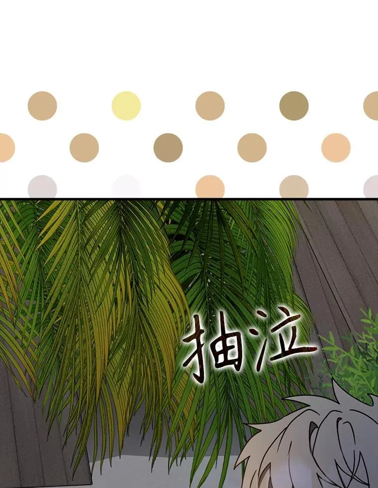 54.找到溪谷 第65页