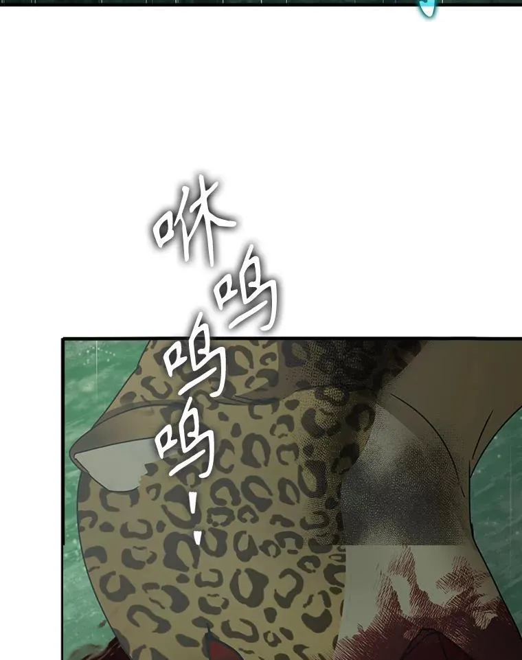57.遇见美洲豹 第44页