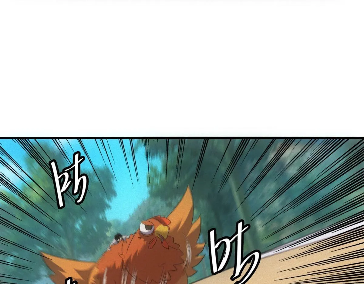 第23话 徒手杀鸡 第13页