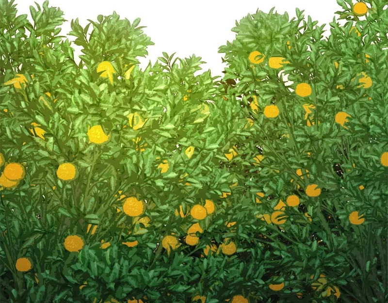 第75话 高温末世 第56页