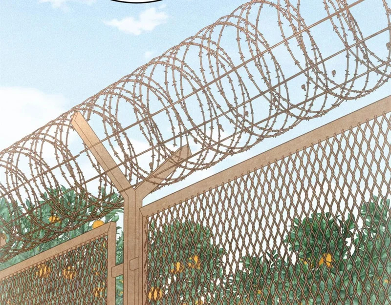 第75话 高温末世 第71页