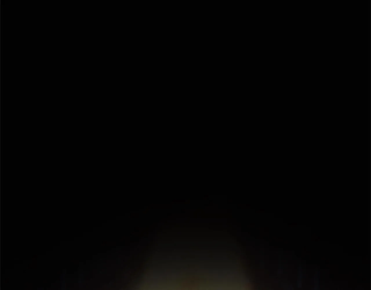 第15话 最佳轮舞奖 第99页