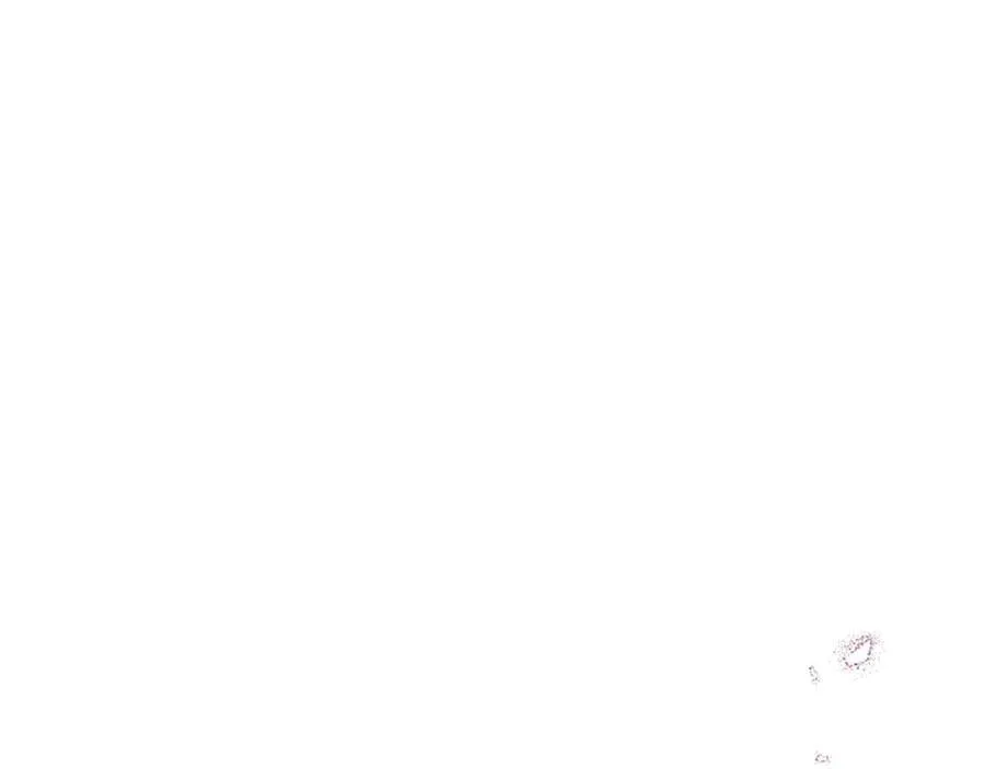 第28话 不反抗吗？ 第183页