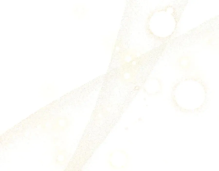 第44话 和你 第170页