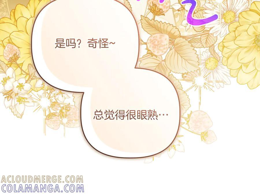 第45话 眼熟的金发男孩 第17页