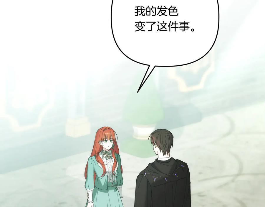 第45话 眼熟的金发男孩 第203页