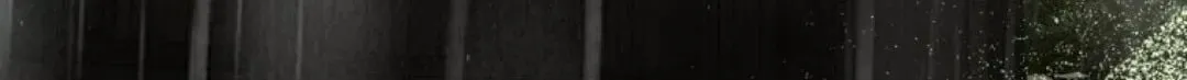 存 第28集 第152页