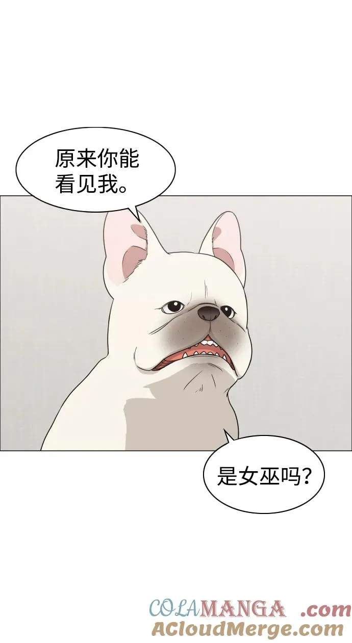 第6话 空碗 第4页