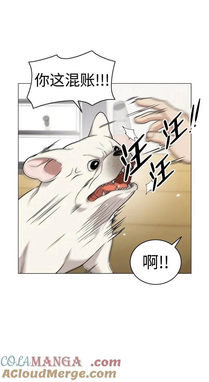第37话 权宜之计 第37页