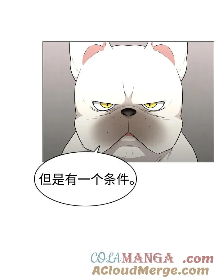 第38话 辗转反侧 第41页
