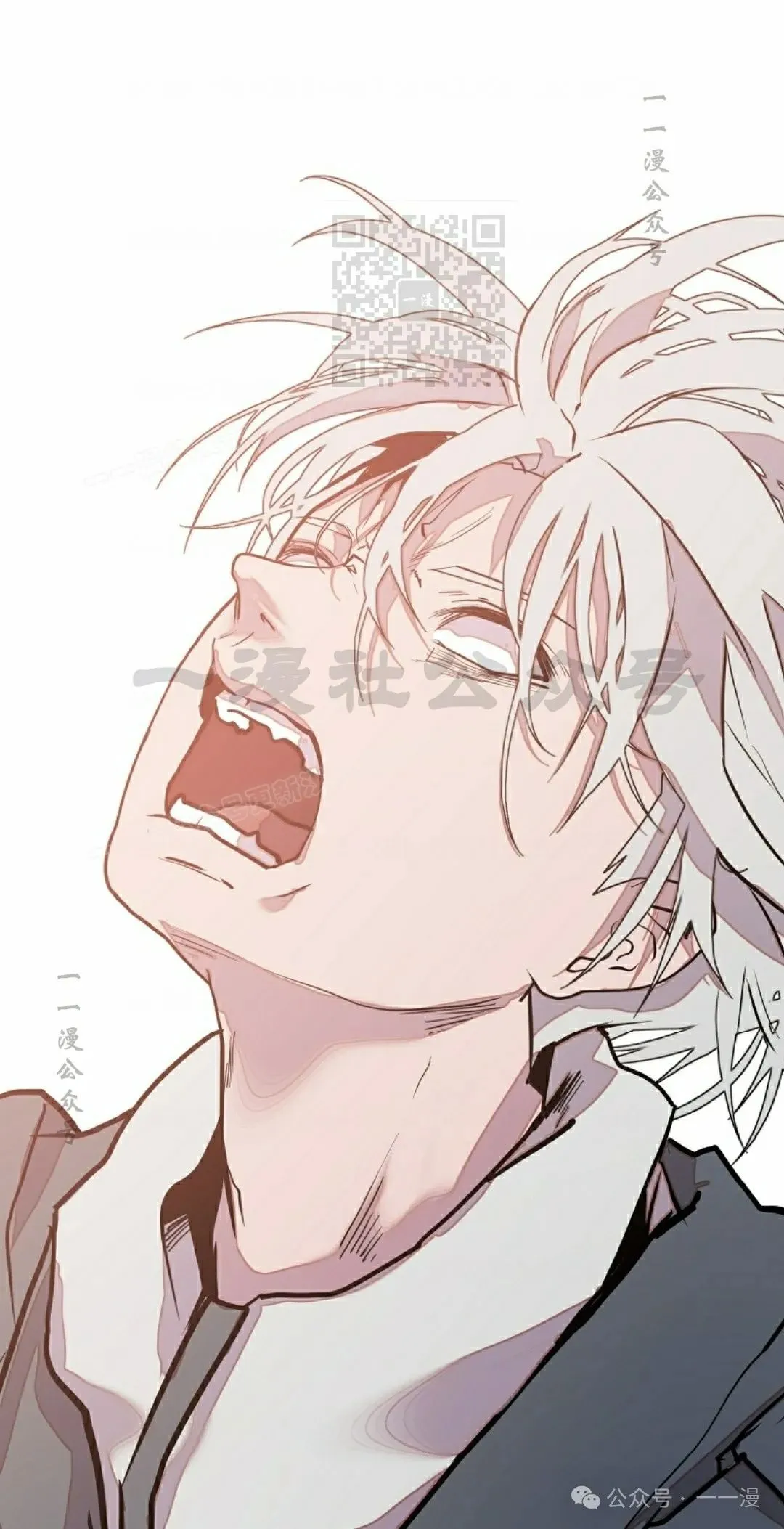 17 第41页