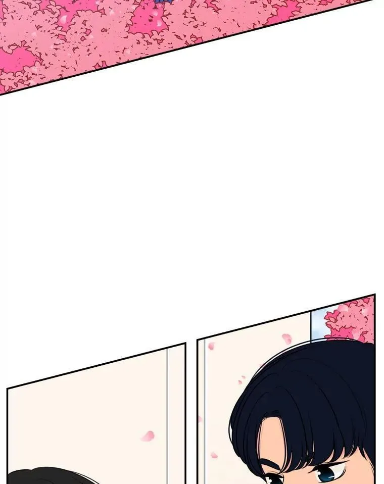 1.穿书进同人文 第2页