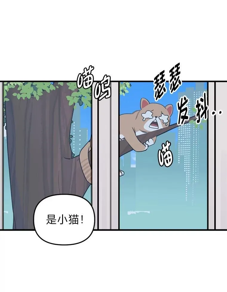 32.解救小猫！ 第56页