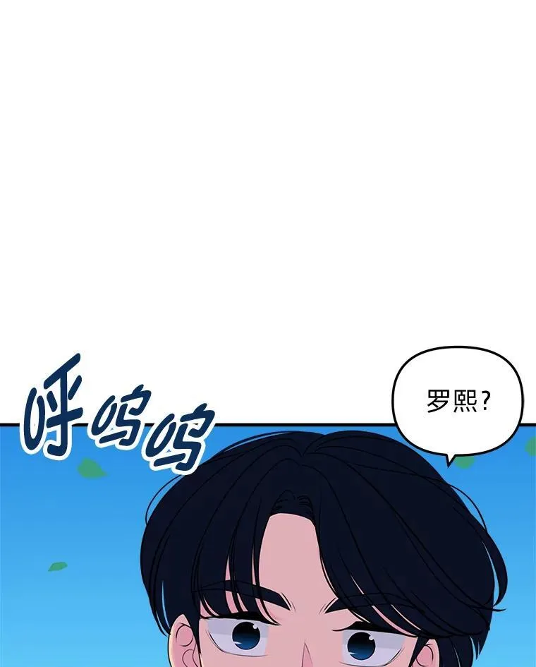 39.罗贝尔的身份 第96页