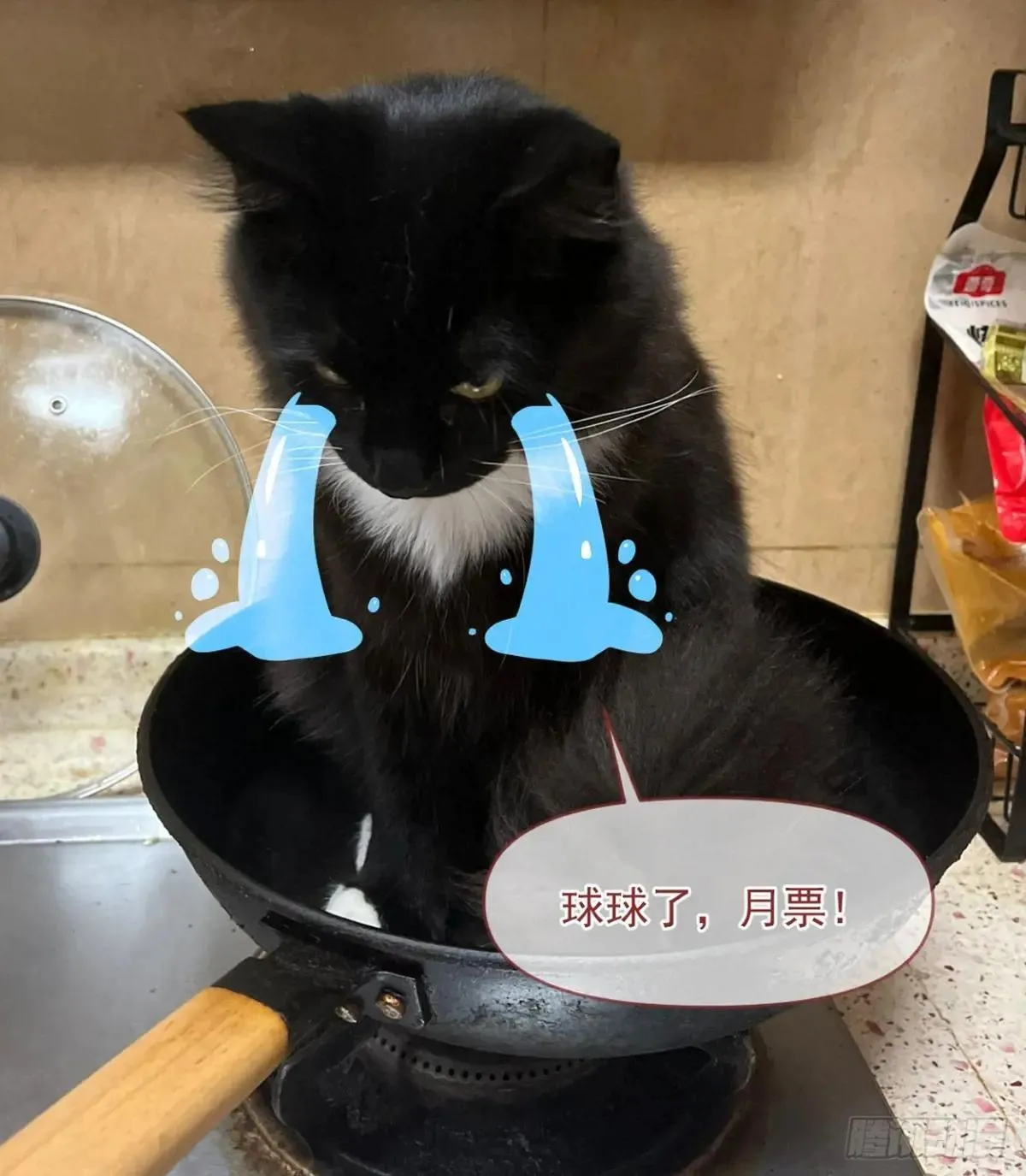 第314话 当老夫不存在吗？ 第56页