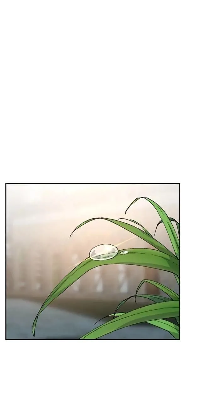 第41话 第5页