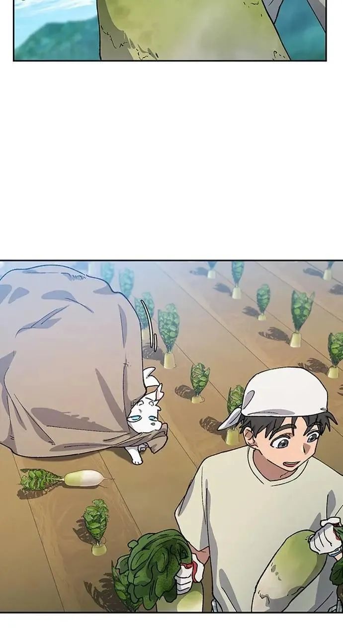 第56话 第36页