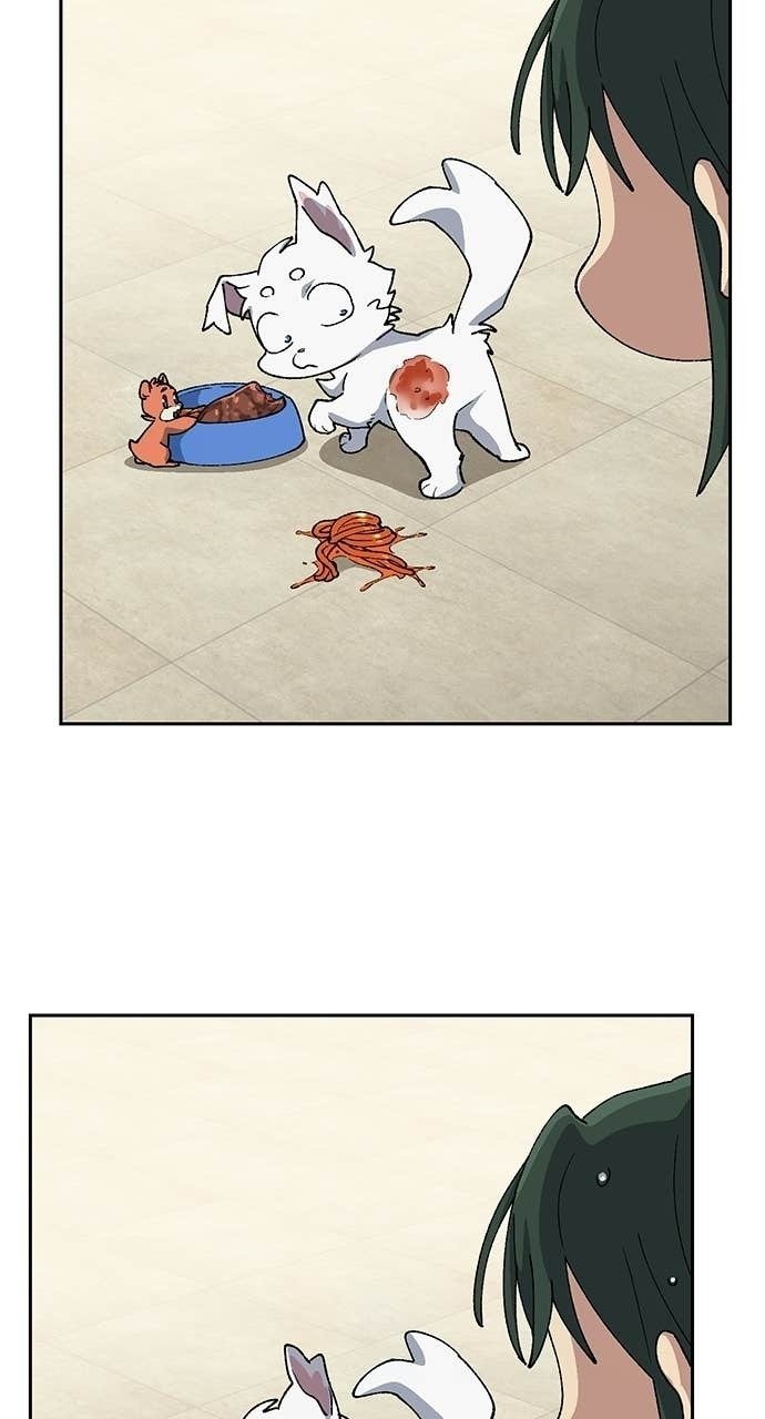 第78话 第30页