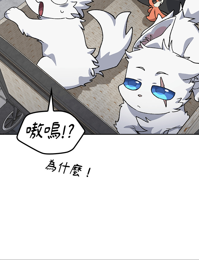 第91话 第114页
