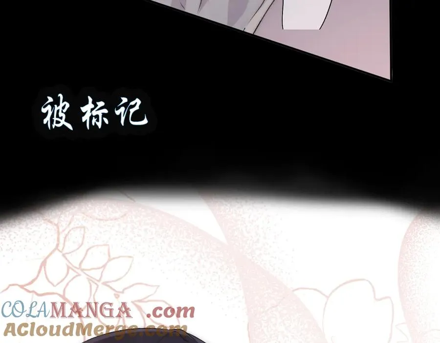 剧情预告 第11页