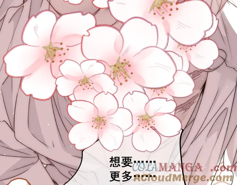 剧情预告 第13页
