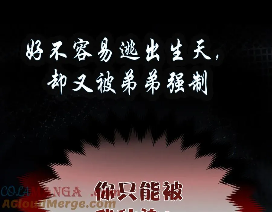 剧情预告 第15页