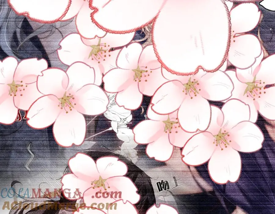 剧情预告 第25页