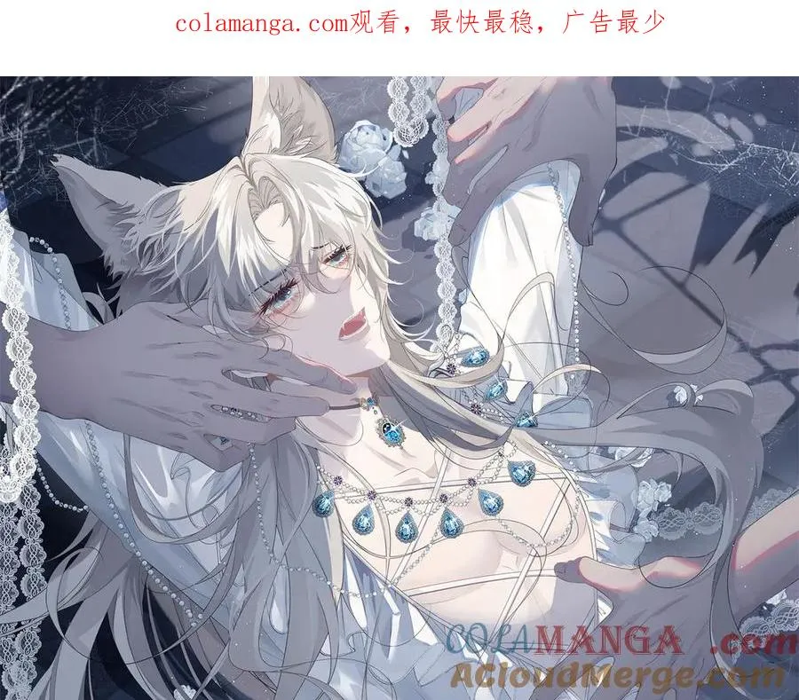 第41话 他疯了！ 第1页