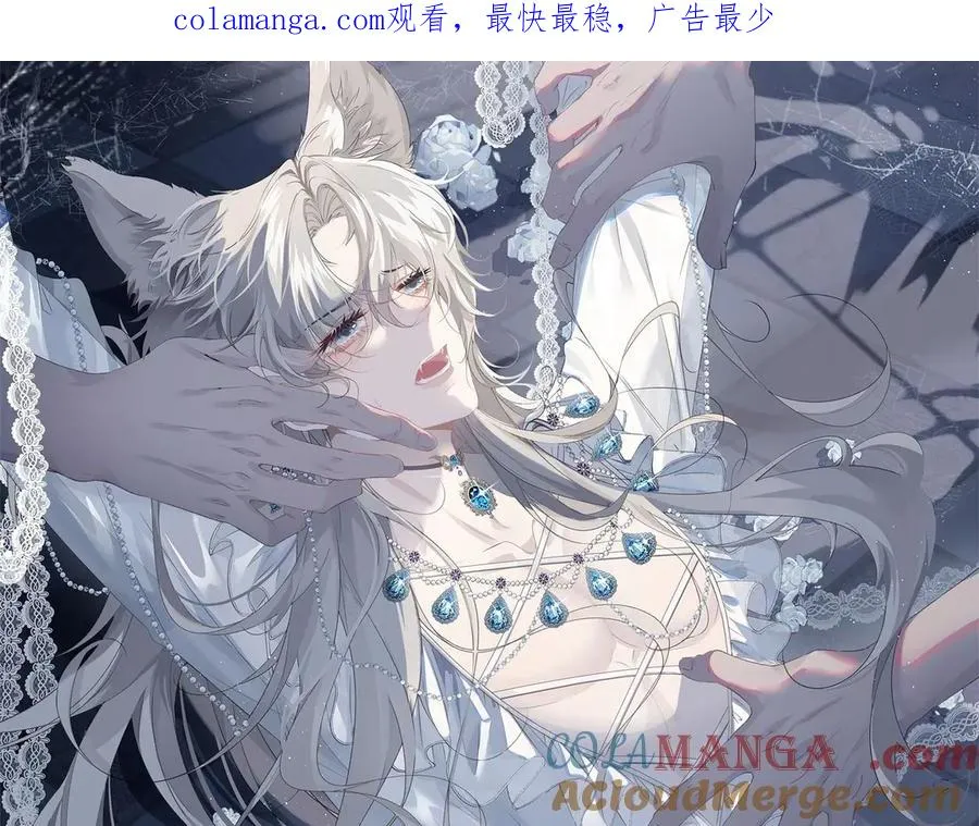 第48话 他不是泽恩？ 第1页