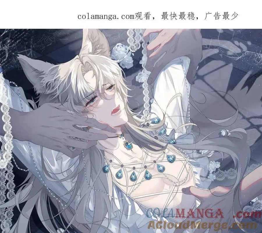 第50话 泽恩回来了！ 第1页