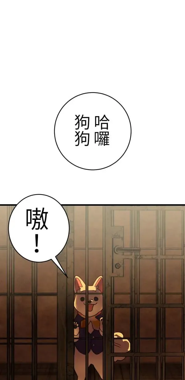 第17话 爱与和平的APP 第1页
