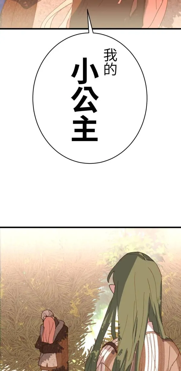第29话 迷因的力量 第97页