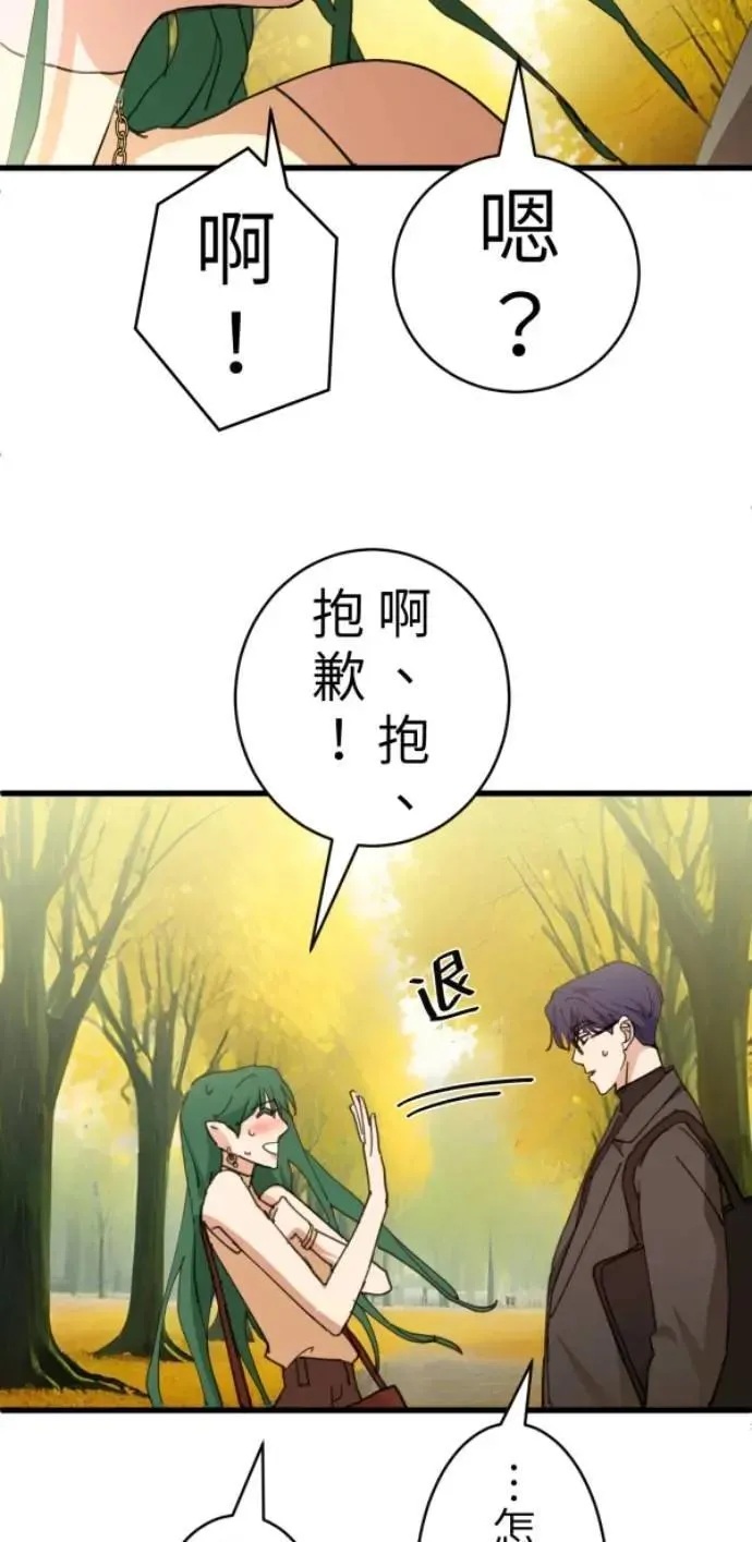 第100话 等银杏开满时 第85页