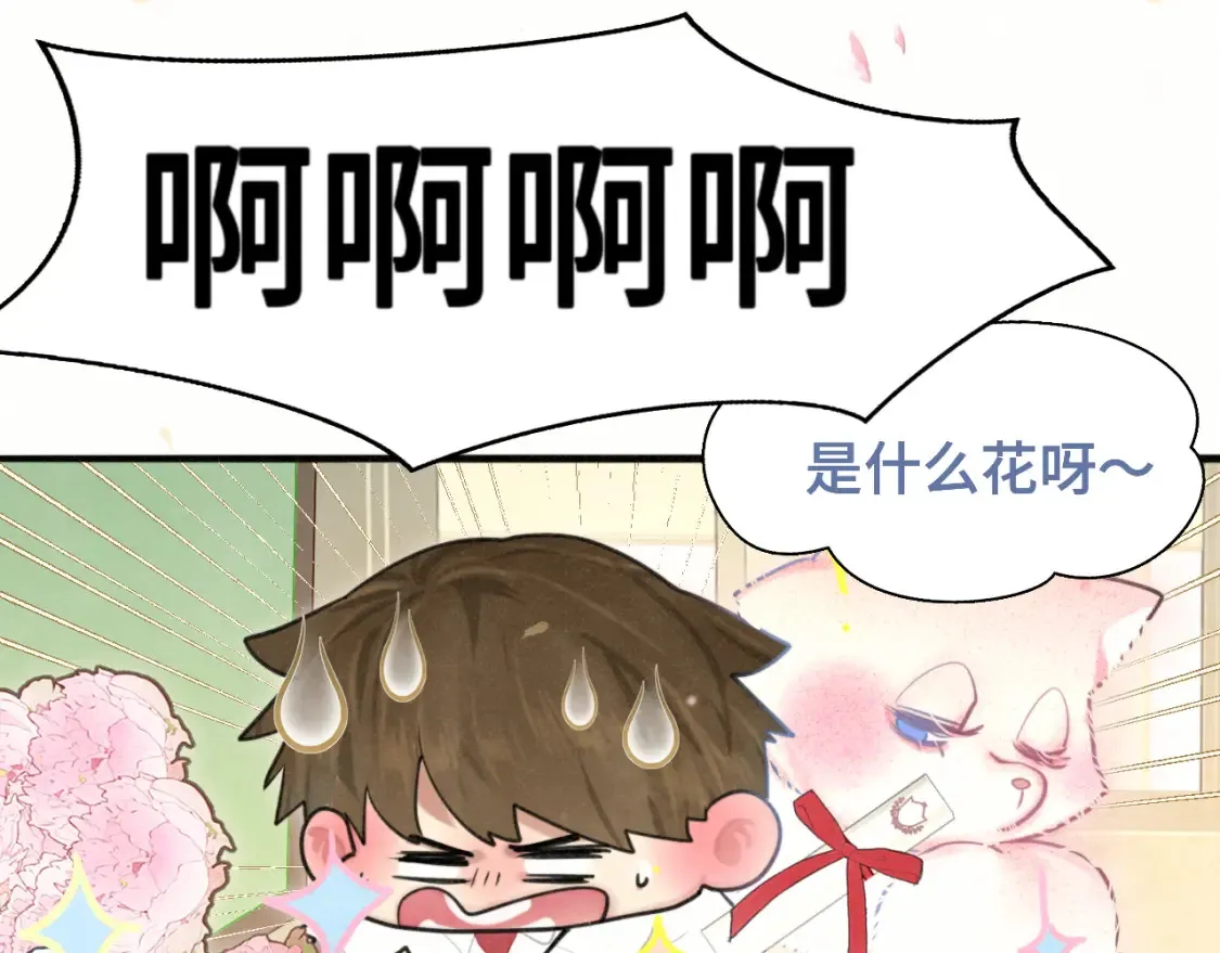 第116集炽热是青春的花语 第61页