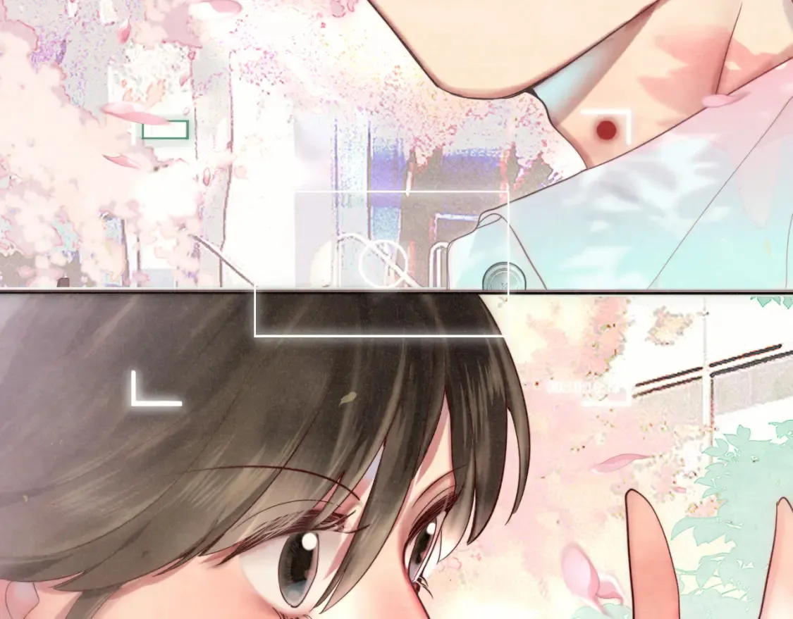 第116集炽热是青春的花语 第164页