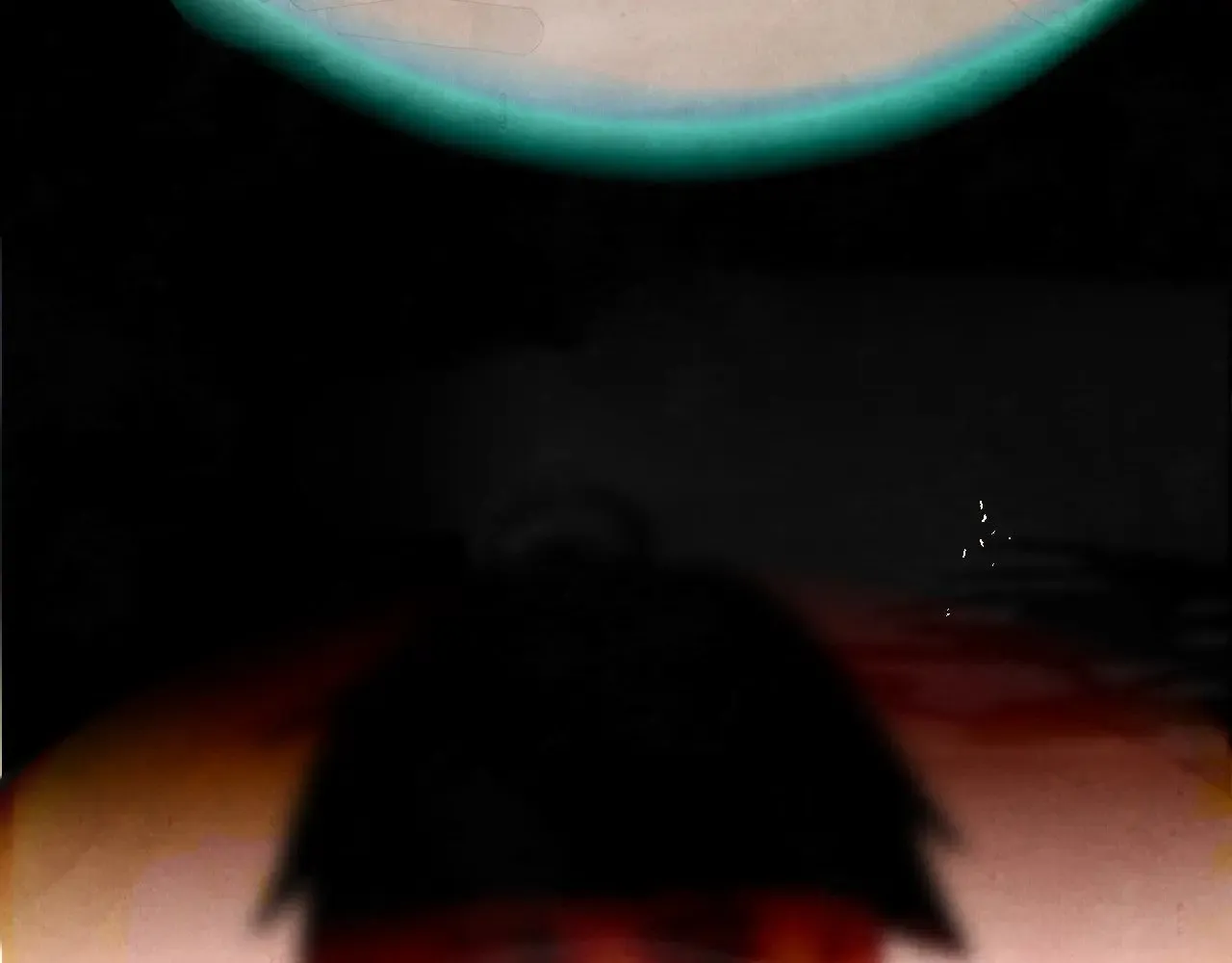 第135 烟火向星辰 第13页