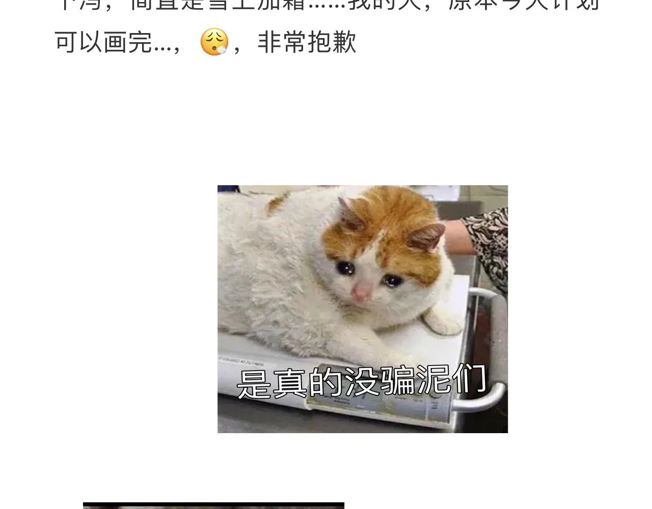 6号更新 第2页