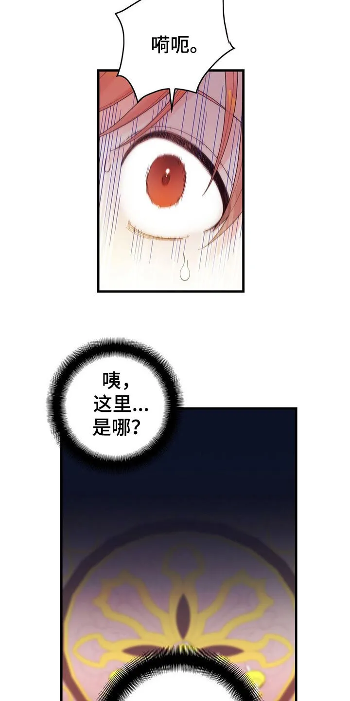 第1章：穿越了 第5页