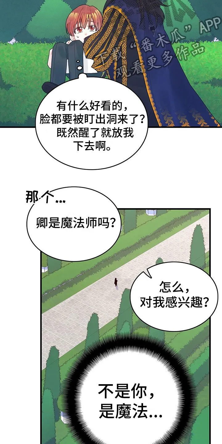 第6章：魔法师 第16页