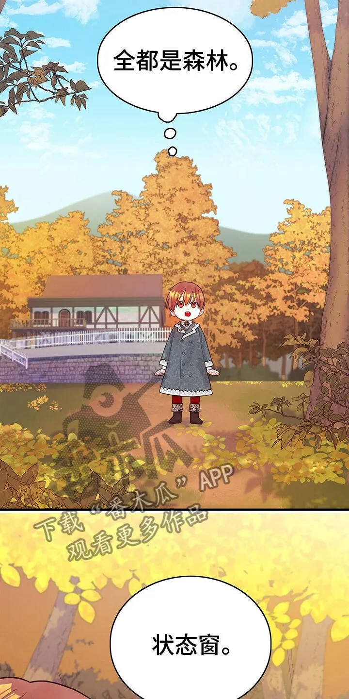 第35章：解除了 第3页