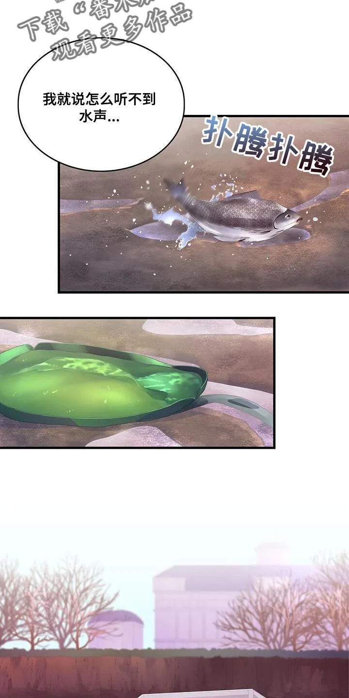 第42章：变成猫 第2页